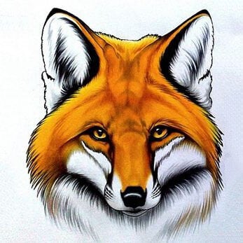 Teemantmosaiik Red Fox DP2375, 20x20 cm цена и информация | Teemantmaalide komplektid | hansapost.ee