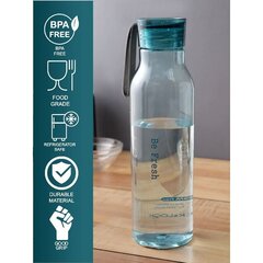 Joogipudel Eco, 550ml hind ja info | Joogipudelid | hansapost.ee