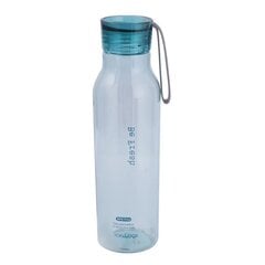 Joogipudel Eco, 550ml hind ja info | Joogipudelid | hansapost.ee