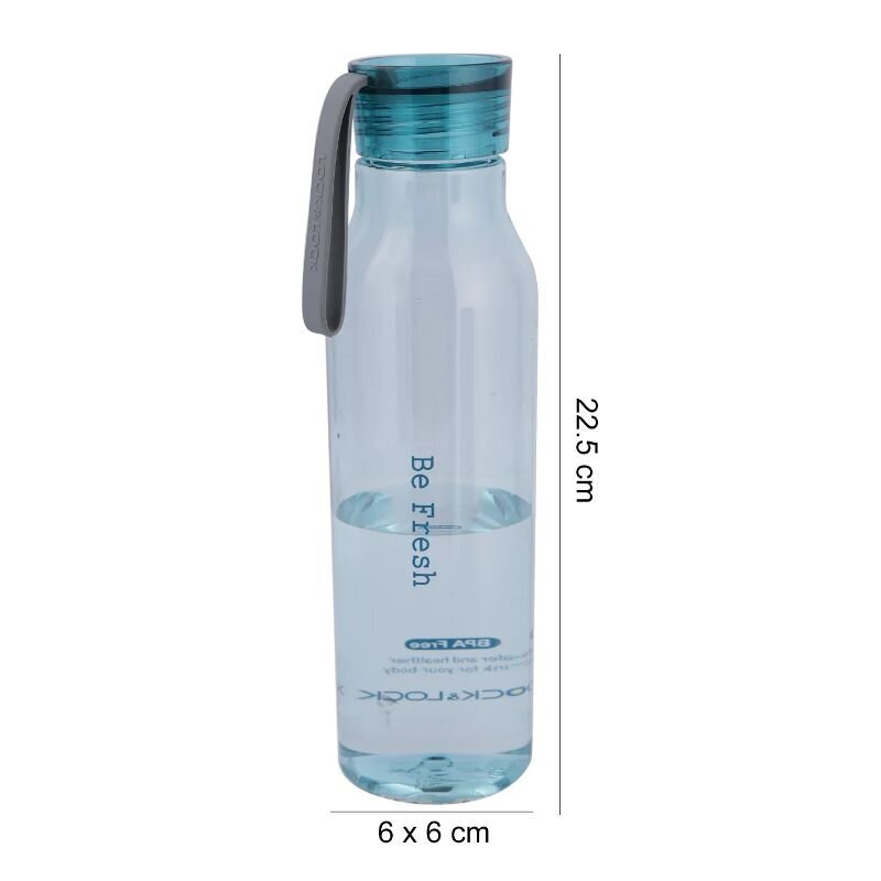 Joogipudel Eco, 550ml цена и информация | Joogipudelid | hansapost.ee