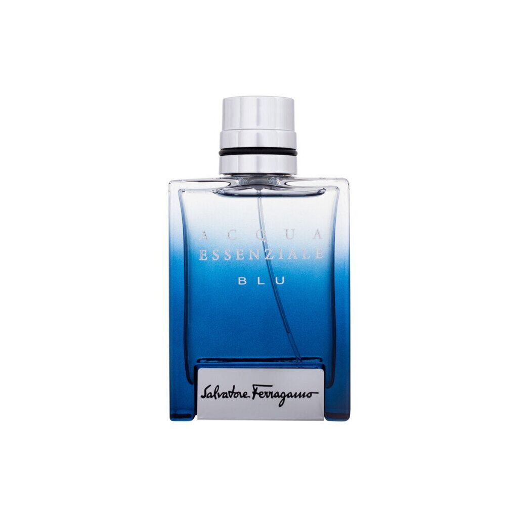 Tualettvesi Salvatore Ferragamo Acqua Essenziale Blu EDT meestele, 50 ml цена и информация | Parfüümid meestele | hansapost.ee