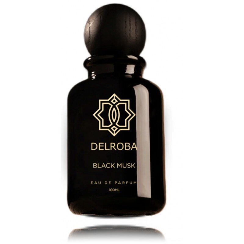 Lõhnavesi Delroba Black Musk EDP meestele, 100 ml цена и информация | Parfüümid meestele | hansapost.ee