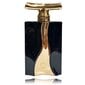 Lõhnavesi Orientica Cuir de Orientica Édition Noir EDP meestele, 90 ml hind ja info | Parfüümid meestele | hansapost.ee