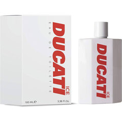 Tualettvesi Ducati Ice EDT meestele, 100 ml цена и информация | Духи для Него | hansapost.ee