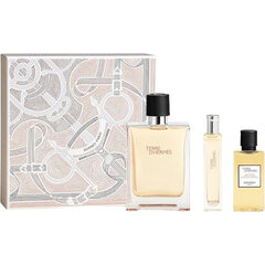 Kehahoolduse komplekt Hermes Terre d´Hermes EDT meestele: Tualettvesi 100 ml + Tualettvesi 15 ml + dušigeel 40 ml hind ja info | Parfüümid meestele | hansapost.ee