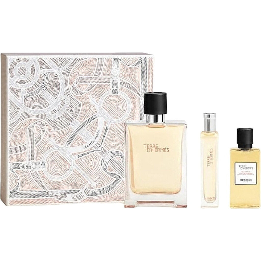 Kehahoolduse komplekt Hermes Terre d´Hermes EDT meestele: Tualettvesi 100 ml + Tualettvesi 15 ml + dušigeel 40 ml цена и информация | Parfüümid meestele | hansapost.ee