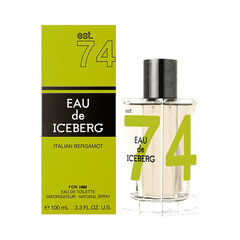 Tualettvesi Iceberg Eau de Iceberg Italian Bergamot EDT meestele, 100 ml цена и информация | Мужские духи | hansapost.ee