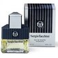 Tualettvesi Sergio Tacchini Sergio Tacchini Man EDT meestele, 27 ml цена и информация | Parfüümid meestele | hansapost.ee