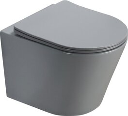 Kahjustatud pakendiga toode. WC komplekt Mexen 5in1 Fenix Slim koos wc-potiga Rico Rimless Slim, Light grey mat hind ja info | Sanitaartehnika defektiga pakendis | hansapost.ee