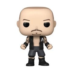 Vinüülfiguur WWE Pop! Randy Orton RKBro, 9 cm hind ja info | Mänguasjad tüdrukutele | hansapost.ee