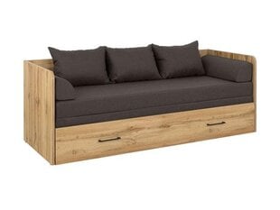 Diivanvoodi BRW Tetrix, pruun price and information | Sofa beds and sofas | hansapost.ee