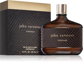 Tualettvesi John Varvatos Vintage EDT meestele 125 ml price and information | Parfüümid meestele | hansapost.ee