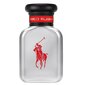 Tualettvesi Ralph Lauren Polo Red Rush EDT meestele, 40 ml hind ja info | Parfüümid meestele | hansapost.ee