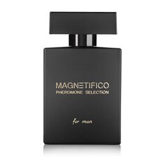 Lõhnavesi Magnetifico Pheromone Selection For Man EDP meestele, 100 ml hind ja info | Parfüümid meestele | hansapost.ee