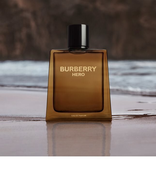 Lõhnavesi Burberry Hero EDP meestele, 100 ml цена и информация | Parfüümid meestele | hansapost.ee