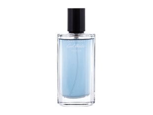 Lõhnavesi Davidoff Cool Water Parfum EDP meestele, 100 ml price and information | Perfumes for men | hansapost.ee