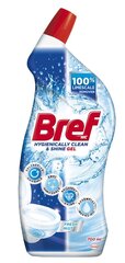 WC puhastusgeel BREF WC HYGIENE GEL Fresh Mist, 700ml hind ja info | Puhastusvahendid | hansapost.ee
