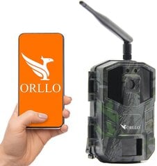 Metsakaamera Orllo Huntercam 3 GSM цена и информация | Камеры видеонаблюдения | hansapost.ee