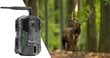 Metsakaamera Orllo Huntercam 3 GSM price and information | Valvekaamerad | hansapost.ee