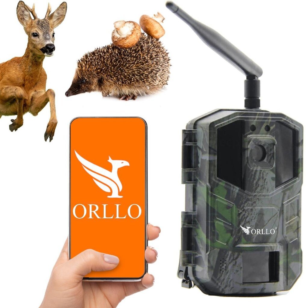 Metsakaamera Orllo Huntercam 3 GSM price and information | Valvekaamerad | hansapost.ee