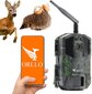 Metsakaamera Orllo Huntercam 3 GSM цена и информация | Valvekaamerad | hansapost.ee