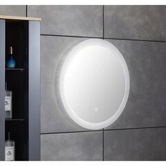 LED valgustusega peegel LYFCO 204-3-17-2 60 цена и информация | Зеркала в ванную | hansapost.ee