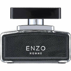 Flavia Enzo Pour Homme - EDP цена и информация | Духи для Него | hansapost.ee