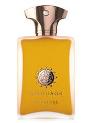 Amouage Overture Man - EDP цена и информация | Мужские духи | hansapost.ee