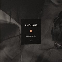 Amouage Overture Man - EDP цена и информация | Мужские духи | hansapost.ee