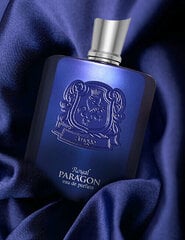 Zimaya Royal Paragon Eau De Parfum 100 ml (man) цена и информация | Женские духи | hansapost.ee