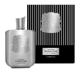 Zimaya Phantom Paragon Eau de Parfum для мужчин 100 мл цена и информация | Духи для Него | hansapost.ee