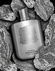 Lõhnavesi Zimaya Phantom Paragon EDP meestele, 100 ml hind ja info | Parfüümid meestele | hansapost.ee