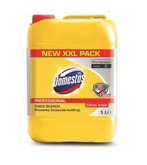 DOMESTOS PROFESSIONAL Citrus Fresh Toilet gel XXL 5L hind ja info | Puhastusvahendid | hansapost.ee