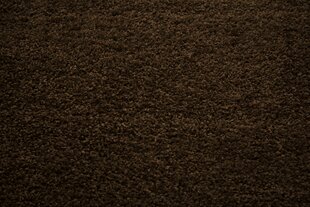 Vaip Shaggy Brown, 160 x 220 cm цена и информация | Коврики | hansapost.ee