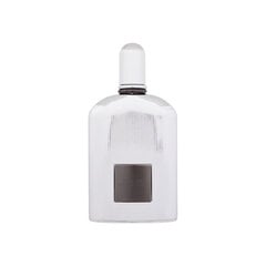 Lõhnavesi Tom Ford Grey Vetiver EDP meestele, 100 ml hind ja info | Parfüümid meestele | hansapost.ee