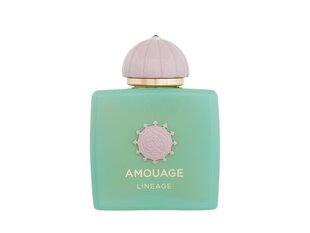 Amouage Lineage eau de parfum для мужчин 100 мл цена и информация | Духи для Него | hansapost.ee