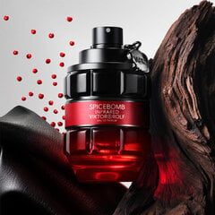 Lõhnavesi Viktor & Rolf Spicebomb Infrared EDP meestele, 90 ml цена и информация | Мужские духи | hansapost.ee