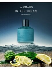 Lõhnavesi Emja Valar A Chaos In The Ocean EDP meestele, 100 ml цена и информация | Духи для Него | hansapost.ee