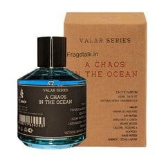 Lõhnavesi Emja Valar A Chaos In The Ocean EDP meestele, 100 ml цена и информация | Духи для Него | hansapost.ee