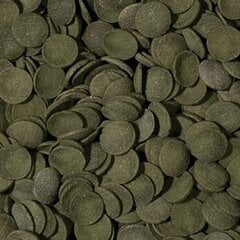 Корм для аквариумных рыб TROPICAL Green Algae Wafers 250 мл/113 г цена и информация | Корм для рыб | hansapost.ee