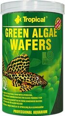 Toit põhjakaladele Tropical Green Algae Vahvlid, 250 ml hind ja info | Kalade toit | hansapost.ee