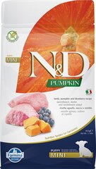 FARMINA N&D Pumpkin Dog Lamb & Blueberry Puppy Mini - сухой корм для собак - 800 г цена и информация | Сухой корм для собак | hansapost.ee