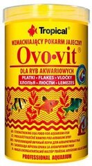 Toit akvaariumi kaladele Tropical Ovo-Vit, 1000 ml hind ja info | Kalade toit | hansapost.ee