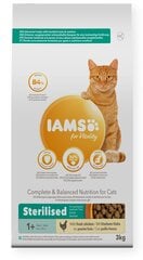 Сухой корм для кошек - IAMS CAT ADULT STERILIZED CHICKEN, 3 кг цена и информация | Сухой корм для кошек | hansapost.ee