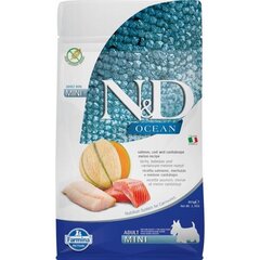 FARMINA N&D Ocean Dog Salmon, Cod, Cantaloupe, Melon Adult Mini - сухой корм для собак - 800 г цена и информация | Сухой корм для собак | hansapost.ee