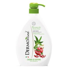 Kreemseep Dermomed HAND WASH Aloe&Pomegranate, 1 l (6) hind ja info | Seebid | hansapost.ee