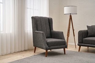 Tugitool Seren, hall price and information | Armchairs | hansapost.ee