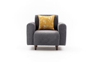 Tugitool Noya Chenille, hall price and information | Armchairs | hansapost.ee