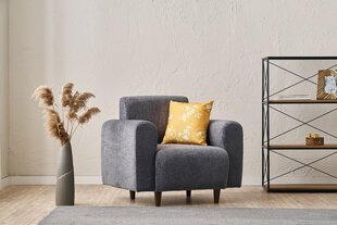 Tugitool Noya Chenille, hall price and information | Armchairs | hansapost.ee