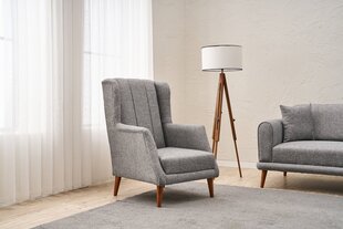 Tugitool Seren, hall price and information | Armchairs | hansapost.ee